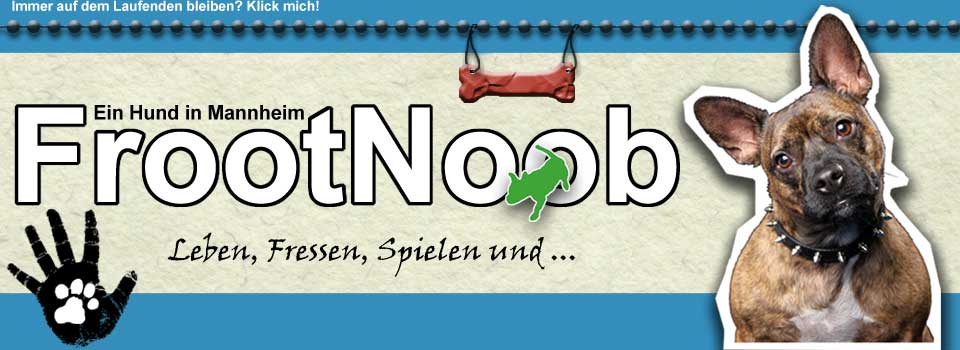 Urlaub mit Hund Noordwijk aan Zee … FrootNoob