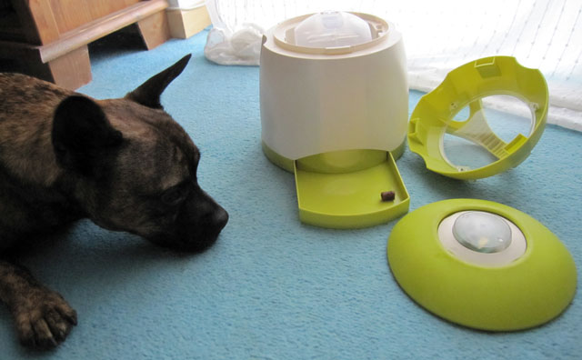 trixie dog activity memory trainer