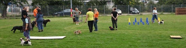 Workshop Hundegruppe